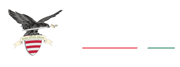 National Cyber-Security Center of Hungary