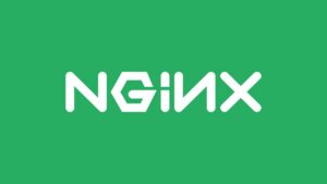 Kritikus NGINX sebezhetőségeket javított az F5