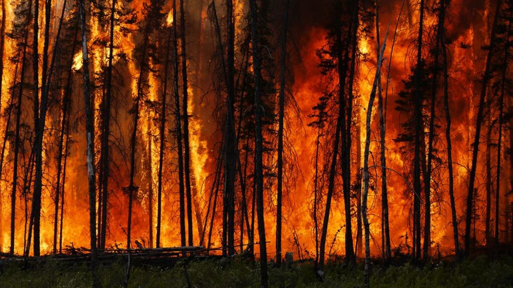 Firestarter backdoor mutatja meg, miért nem elég az egyszerű patchelés